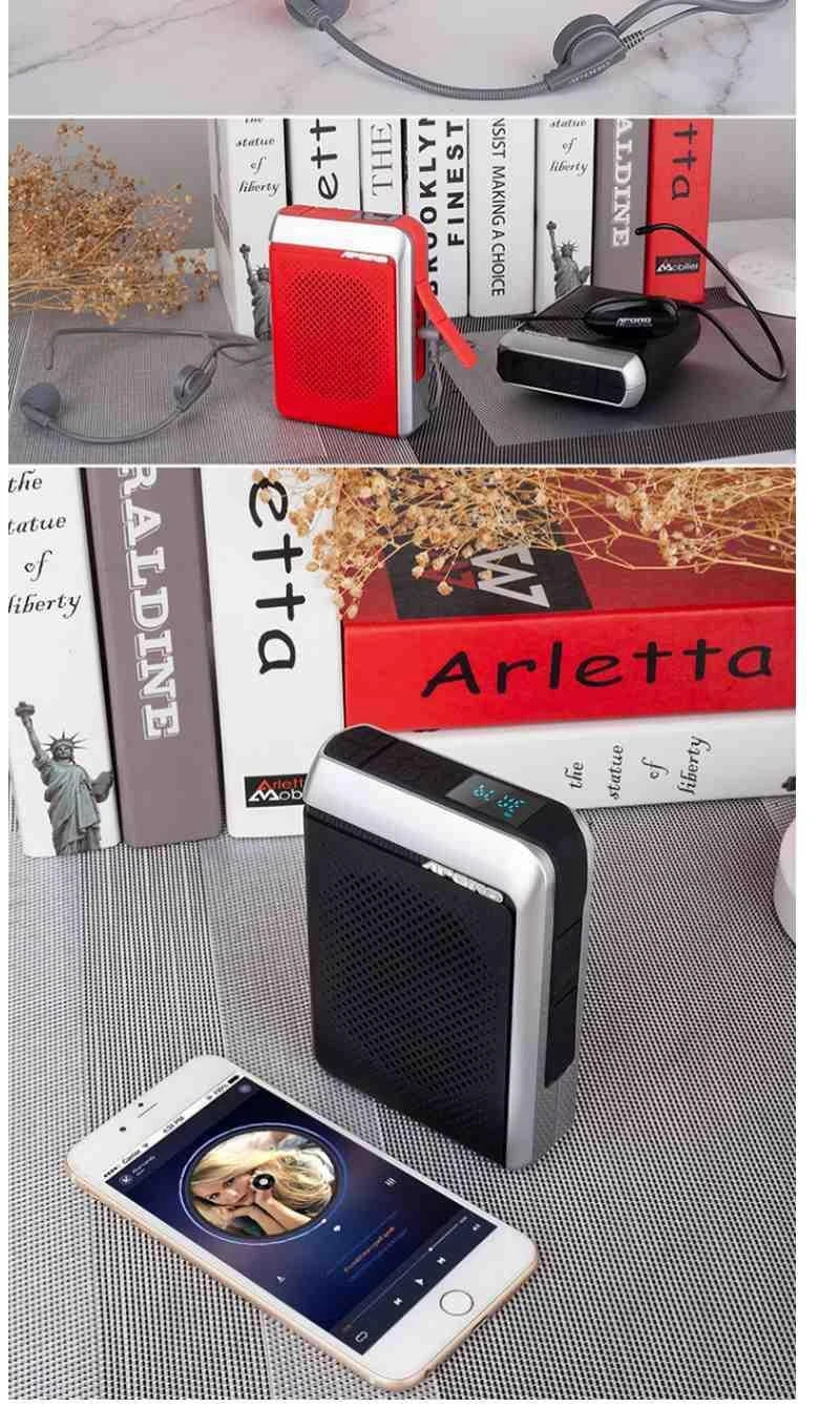 Amplificador de Voz Portátil 30W (2.4G/Bluetooth) para Professores e Guias